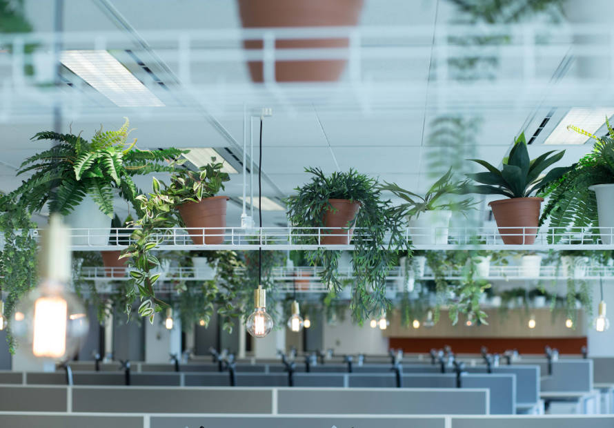 advantages of plants in an office environment blog post header